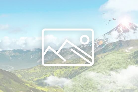 纖維素設(shè)備發(fā)貨